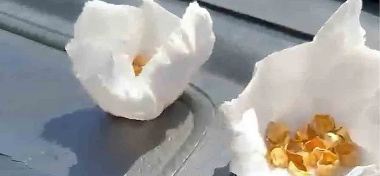 Sahte Altın Dişle Vurgun Yapan Çete Çökertildi