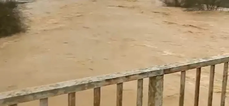 Sakarya'da Sağanak Tarlaları Göle Çevirdi