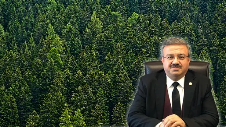 100 Bin Fidan Toprakla Buluşacak