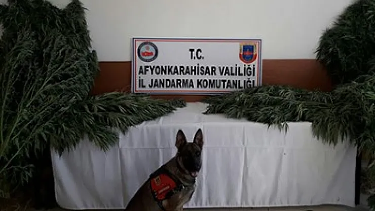 3 ayrı yerde eşzamanlı operasyon