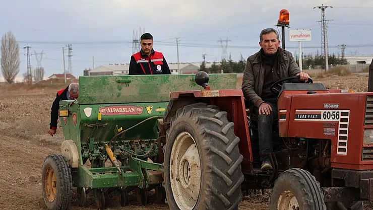 300 Ton Buğday Ekimi Gerçekleştirildi