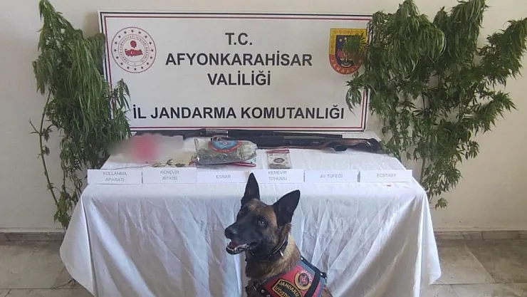 55 Gram Esrar Ve 5 Kök Kenevir Ele Geçirildi