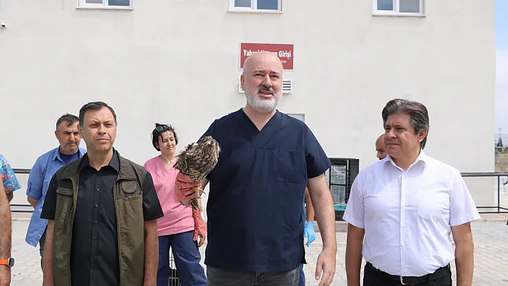 60 Kuş Tekrar Doğaya Salındı