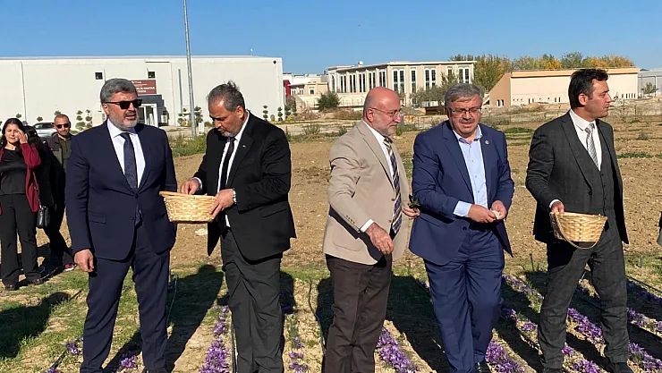 'Afyon'da Alım Garantili Safran Üretilecek'