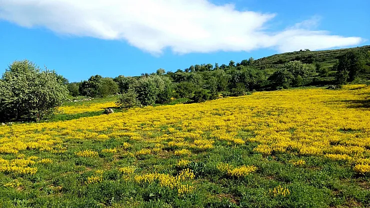 Afyon'da Gizli Kalmış Güzellik