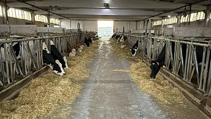 Afyon'da Hastalıktan Ari Çiftlikle, Gıdalar Güvende