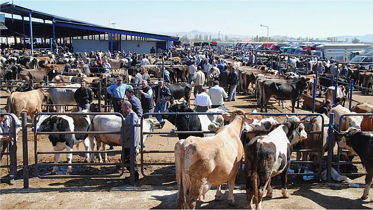 Afyon'da Hayvan Pazarları Kapatıldı