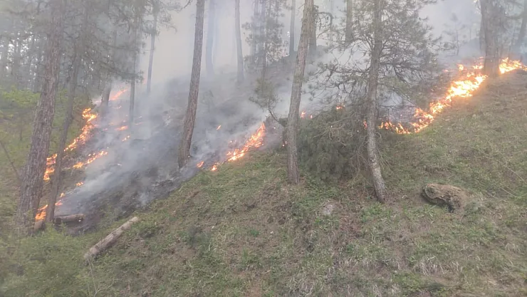 Afyon'da Ormanda Korkutan Yangın! Ekipler Seferber Oldu