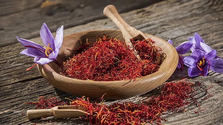 Afyon'da Üniversite Safran Üretti