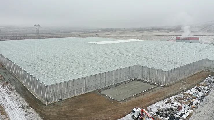 Afyon'daki Jeotermal Seracılık Modeli Örnek Oldu