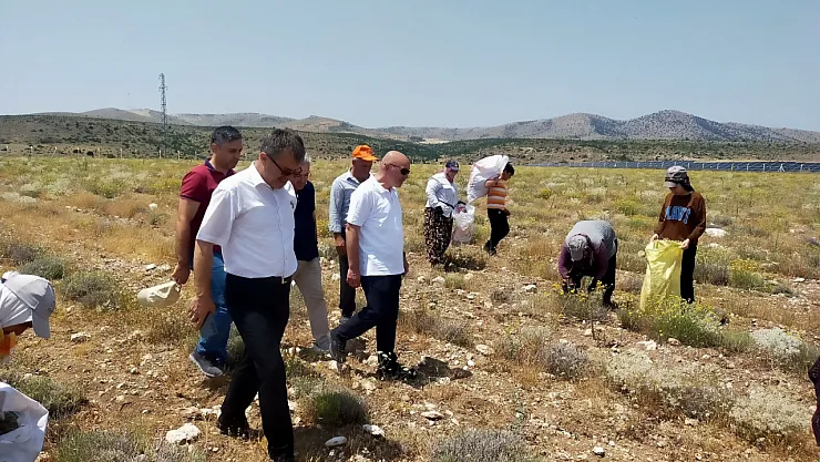 Afyon İl Özel İdaresi'nden AR-GE Hamlesi: Tarımda Çeşitlilik, Üretimde Kalite