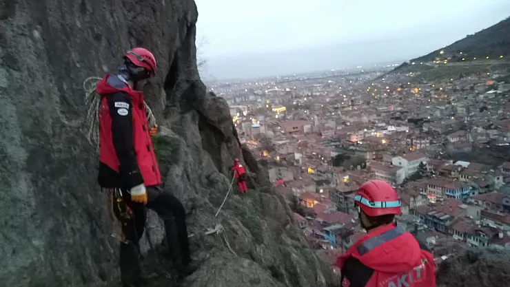 Afyon Kalesi’ne kaçan keçileri AKUT kurtardı