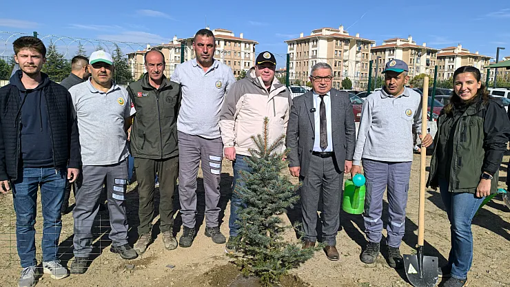 Afyonkarahisar'da Binlerce Fidan Toprakla Buluşturuldu
