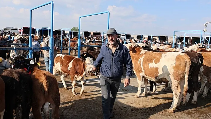 Afyonkarahisar'da Kurbanlık Hareketliliği Başladı