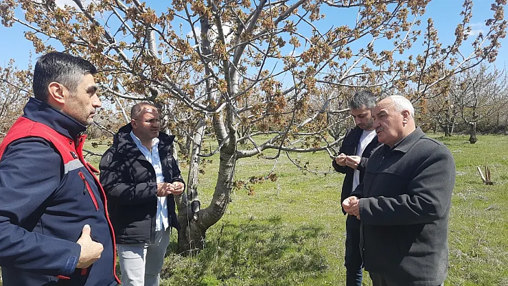 Afyonkarahisar'da Tarım Alanlarını Don Vurdu