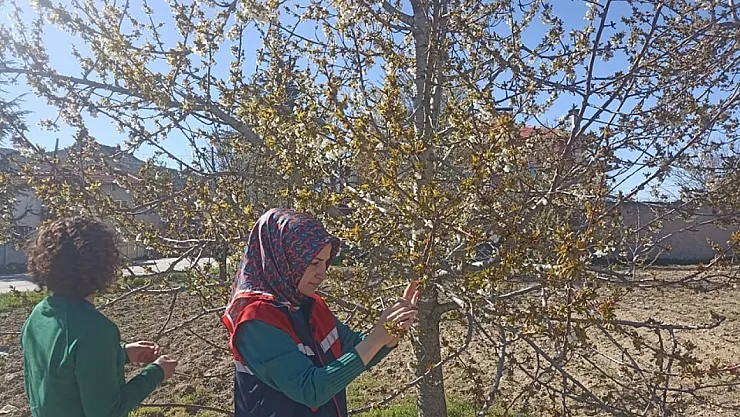 Afyonkarahisar'da Zirai Don Alarmı