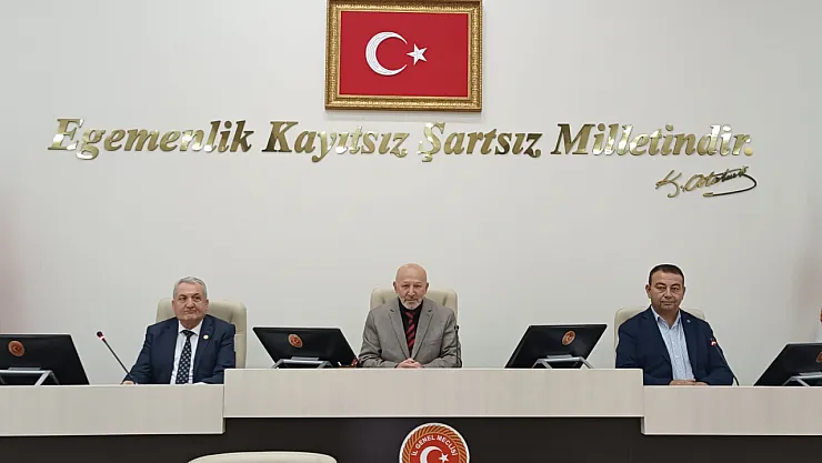 Afyonkarahisar İl Genel Meclisi, Filistin'in Yanında