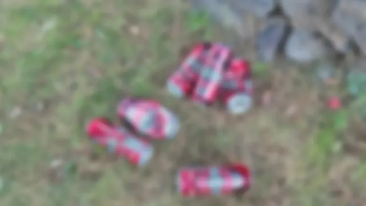 Afyonkarahisar'ın Gözde Mesire Alanı Bakımsızlığa Mı Bırakıldı?