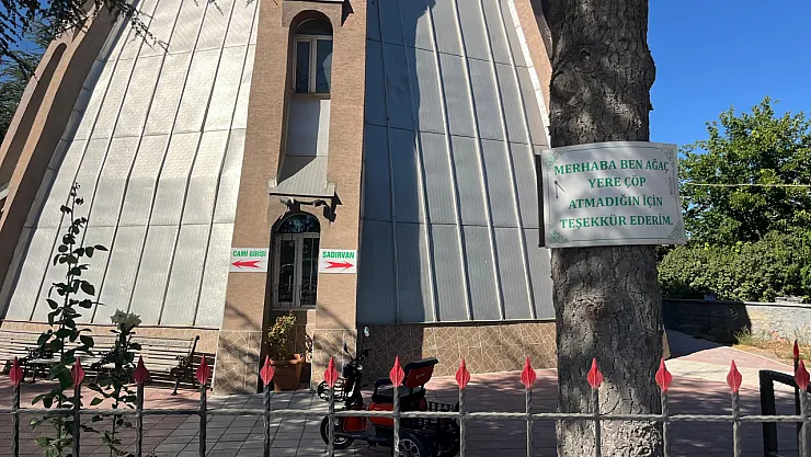 Ağaçlarda Çevreye Duyarlılık Mesajları