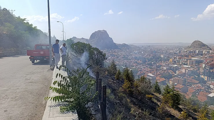 Ağaçlık Alandaki Yangın Paniğe Neden Oldu
