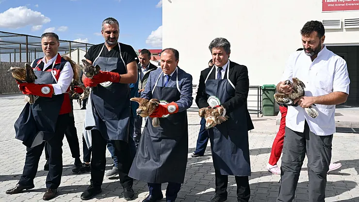 AKÜREM'de Tedavi Edilen 35 Kuş Doğaya Salındı