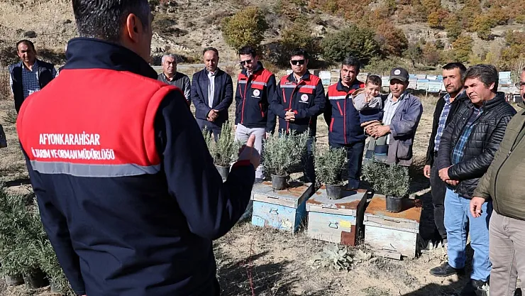 Arıcılara Lavanta Fidesi Dağıtıldı