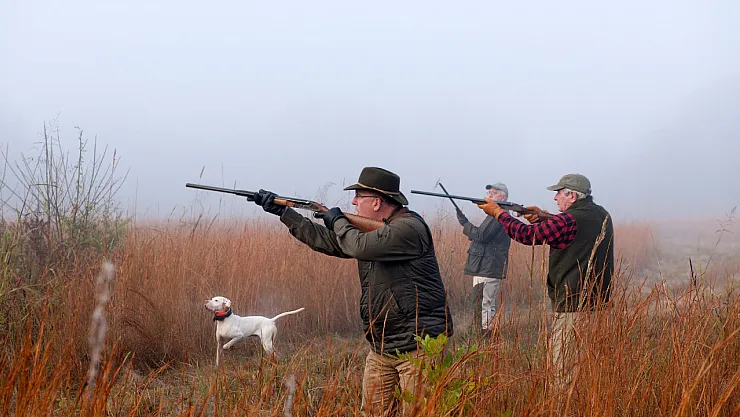 Avbis Vize Yenileme Nasıl Yapılır?