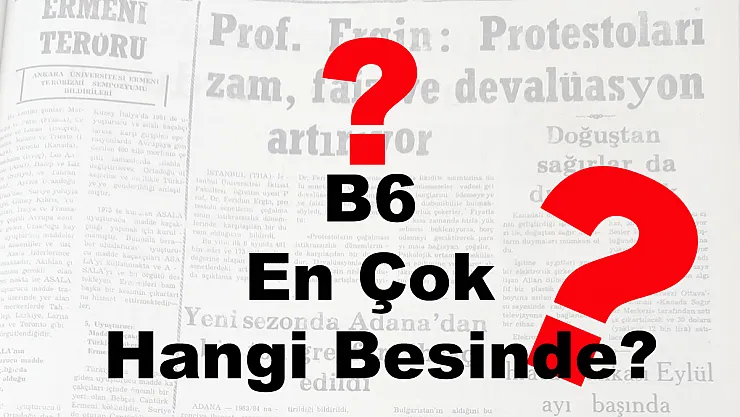 B6 En Çok Hangi Besinde?