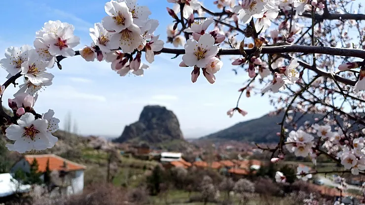 Bademler, Yalancı Bahara Aldandı