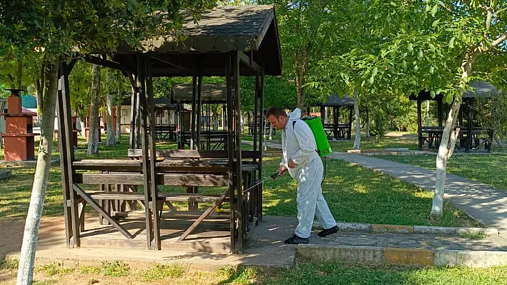 Bahar Aylarıyla Birlikte İlaçlama Çalışmalarını Başlattı
