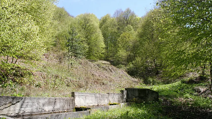Baharın Gelmesiyle Doğanın Güzelliği Görenleri Hayran Bırakıyor