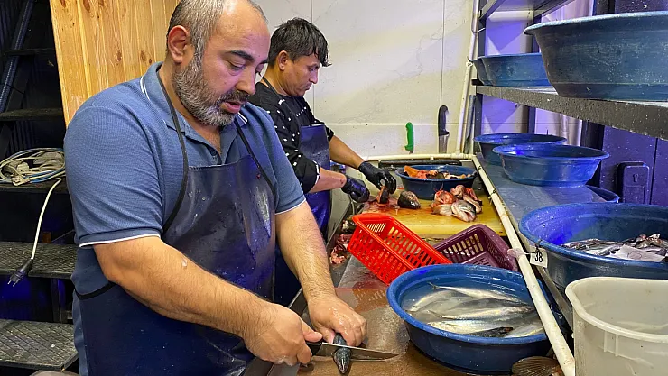 Balık Sezonu Bereketli Başladı
