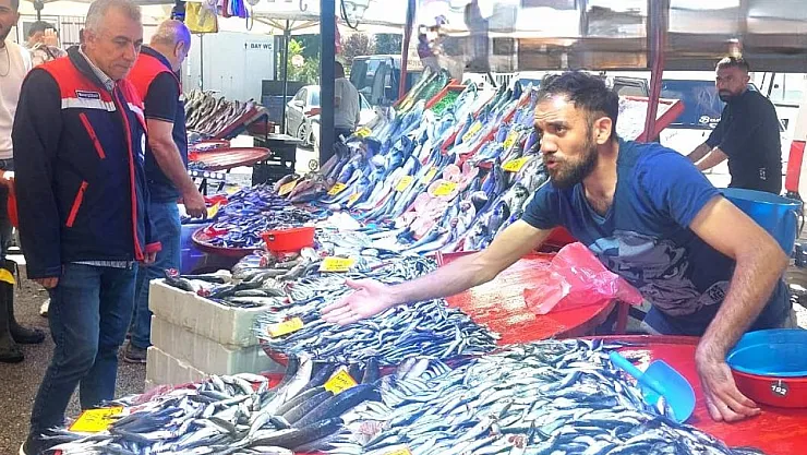 Balıkçı Esnafına Yönelik Denetim