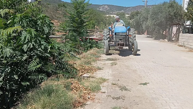 Bayırköy'de Yabani Otlar Temizlendi