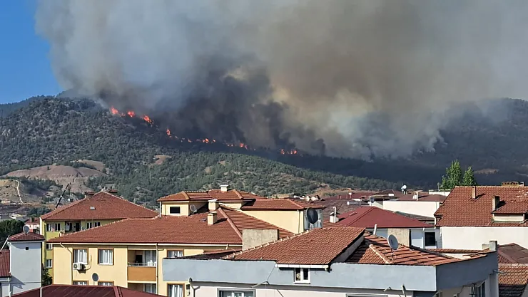 Bilecik'te Kısmen Kontrol Altına Alınan Yangın Yeniden Alevlendi