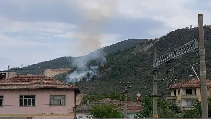Bilecik'te Orman Yangını Söndürüldü