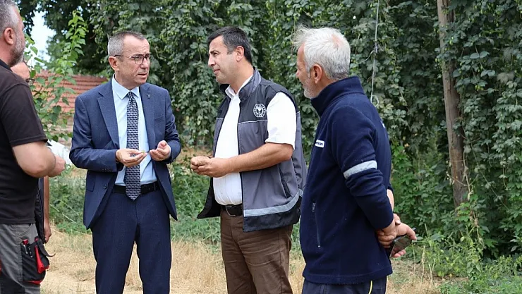 Bilecik'te Şerbetçi Otu İncelemesi: Türkiye'de Sadece Pazaryeri'nde Yetişiyor