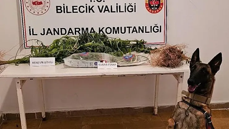 Bilecik'te Uyuşturucu Operasyonu