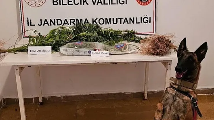 Bilecik'te Uyuşturucu Operasyonu
