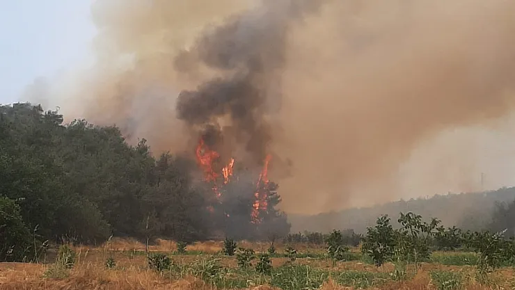 Bilecik'teki Orman Yangını 7 Köyü Etkisi Altına Aldı