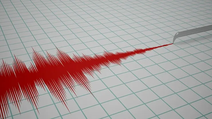 Bingöl 4,4 İle Sallandı