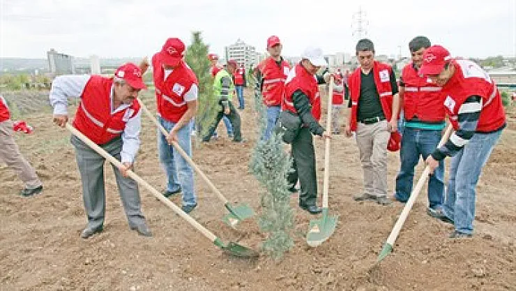 Bir Kan, Bir Fidan’da 4 milyon fidan