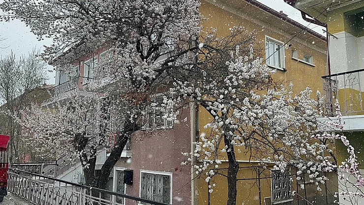 Bolvadin'de Kar Yağışı Etkili Oldu