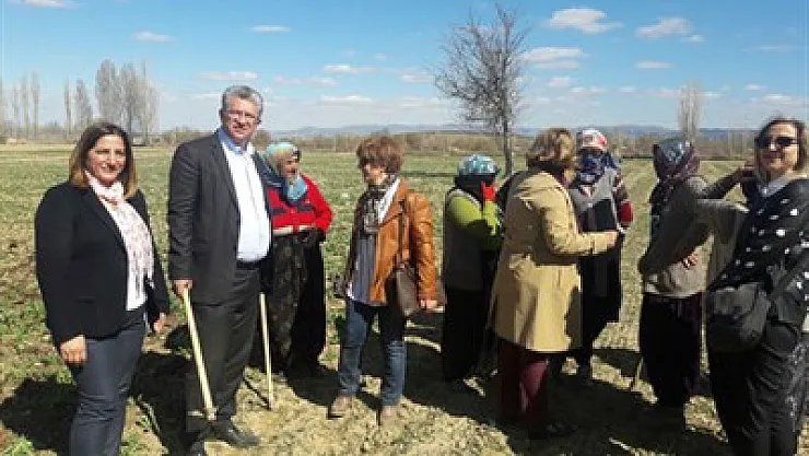 'Bu Anayasa da kadın yok, emek yok'