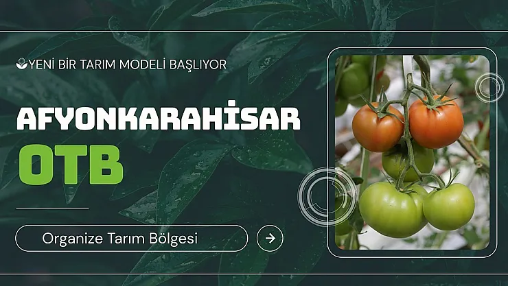 Bu Bir Yatırım Tavsiyesidir… Organize Tarım Bölgesi'nde Yerinizi Alın