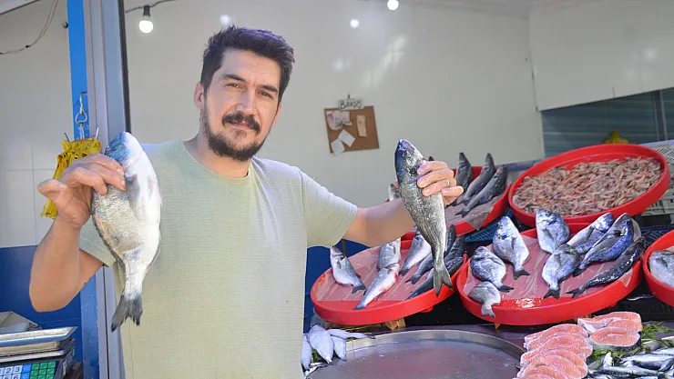 Bu Yıl Tezgâhların Şampiyonu Sardalya