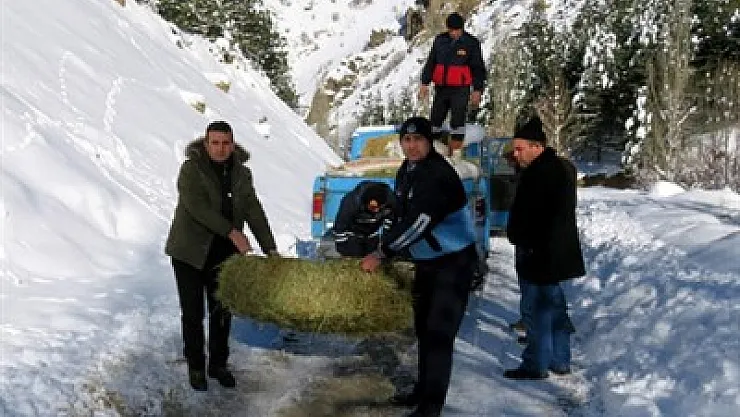 Çay'da yaban hayvanları unutulmadı – Kocatepe Gazetesi