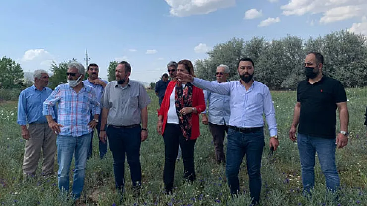 'Çiftçi kan ağlıyor, ekinler susuzluktan kurumuş'