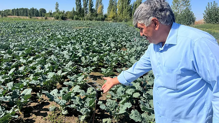 Çiftçilerin Kullandığı Kuyu Suları 2 Metreye Kadar İndi