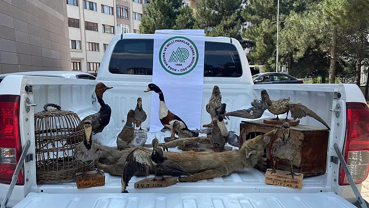 CİMER Şikayetiyle Ortaya Çıktı: Afyon'da Evde 14 Tahnit Edilmiş Hayvan Bulundu!